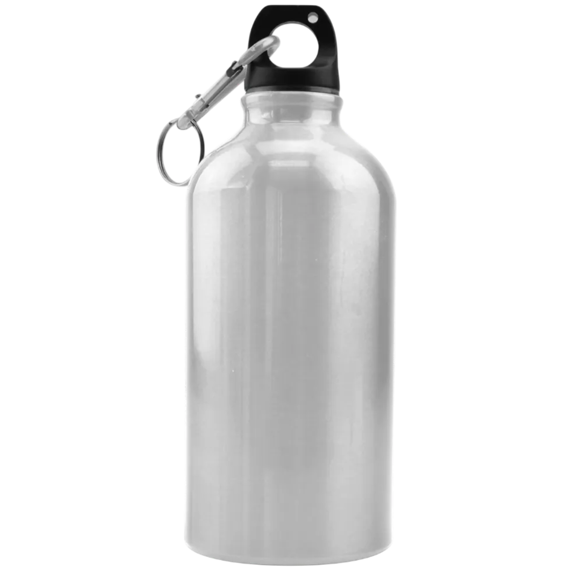 Carabiner Metal Water Bottle