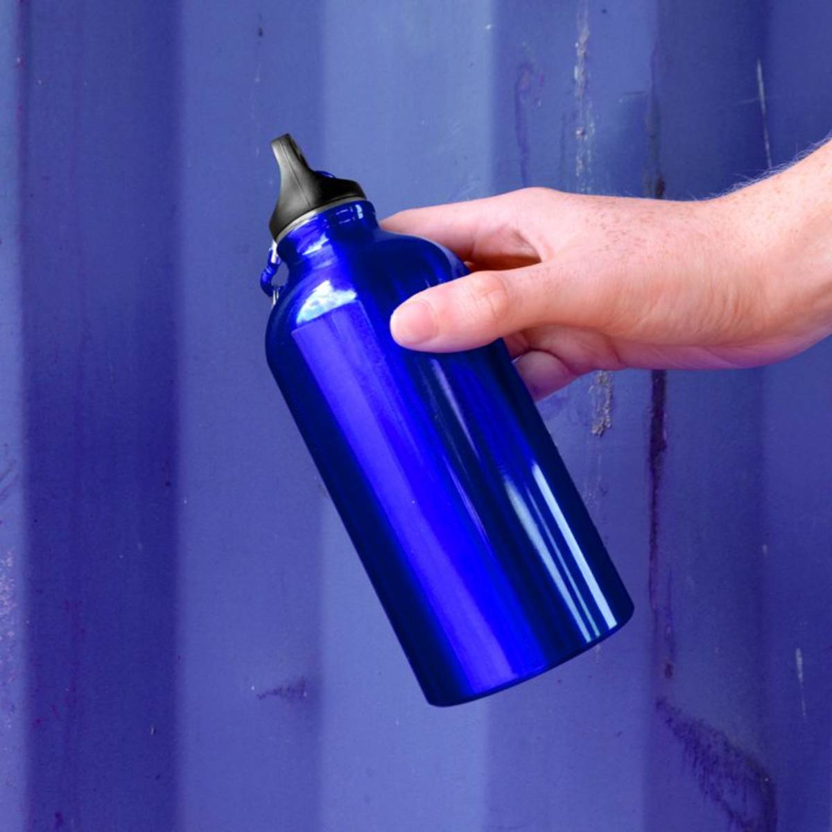 Carabiner Metal Water Bottle