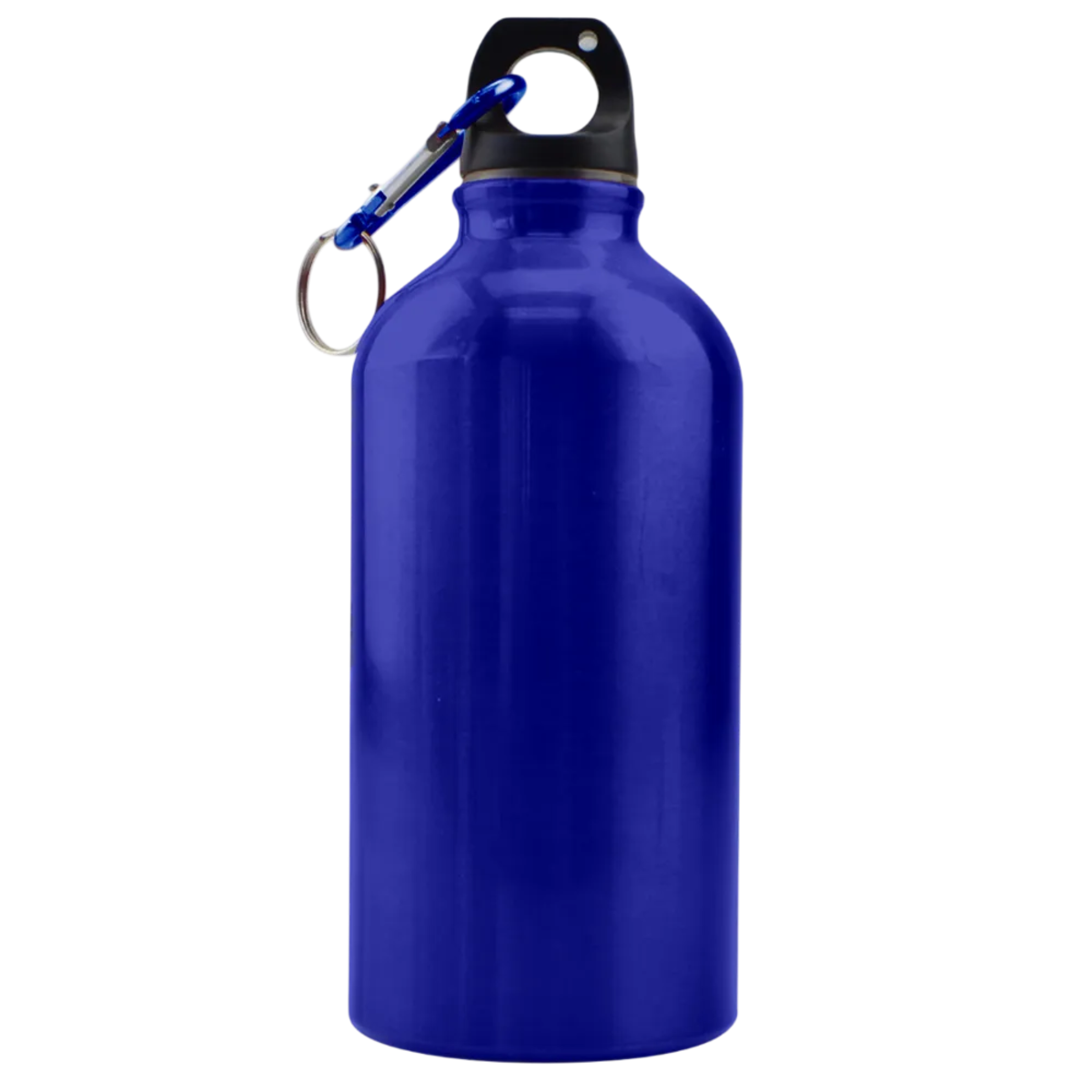 Carabiner Metal Water Bottle