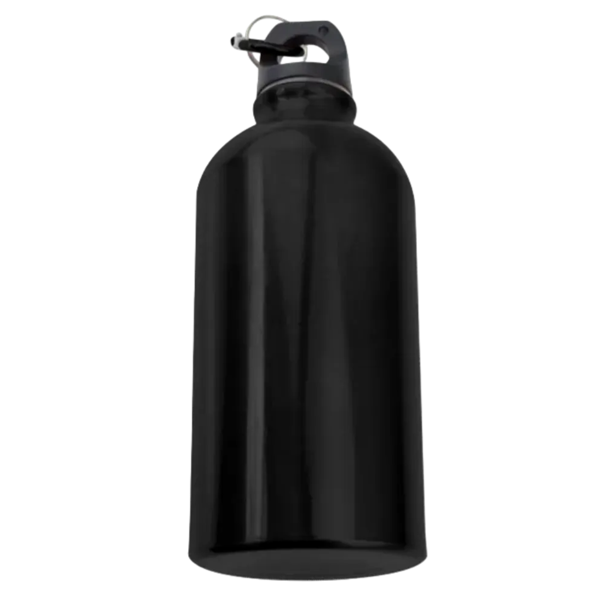 Carabiner Metal Water Bottle