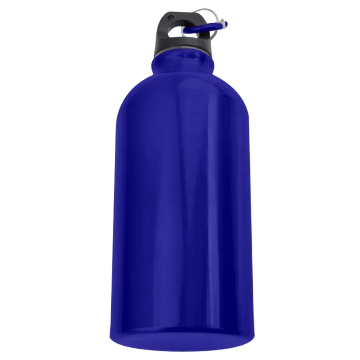 Carabiner Metal Water Bottle